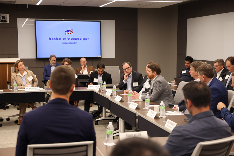 Individuals in the Energy sector gather for roundtable discussion